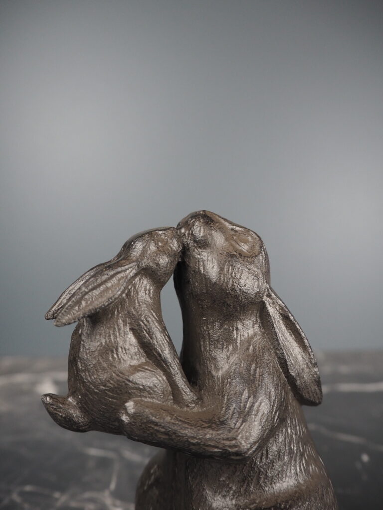 Roy rabbit - Image 2