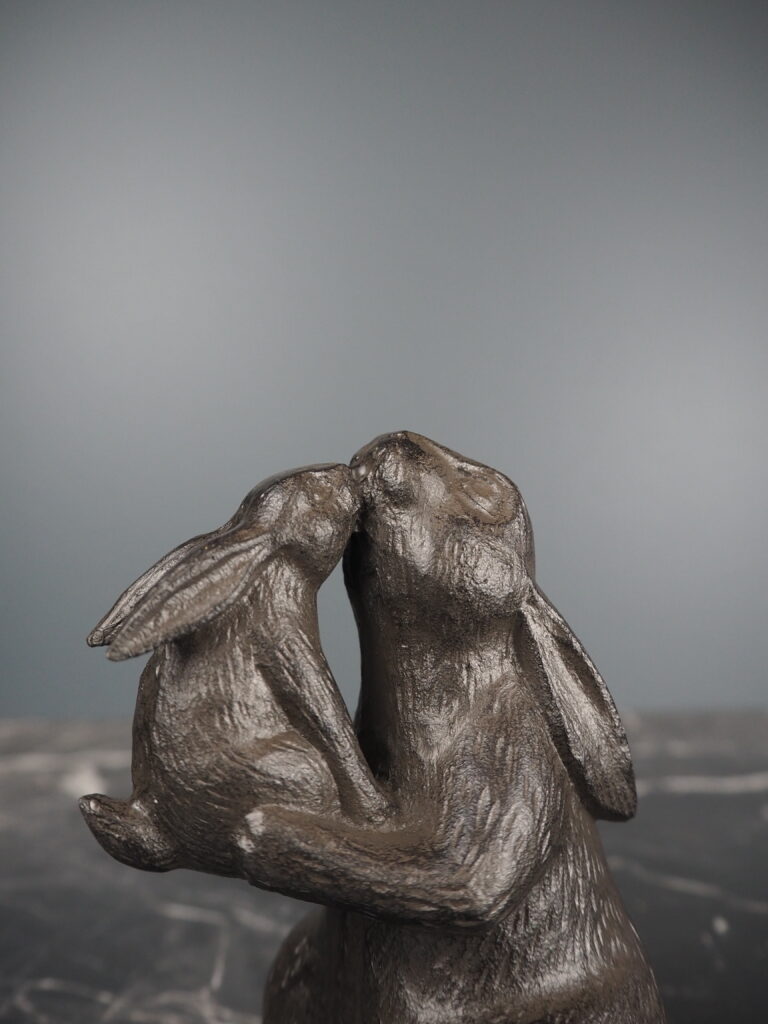 Roy rabbit - Image 3
