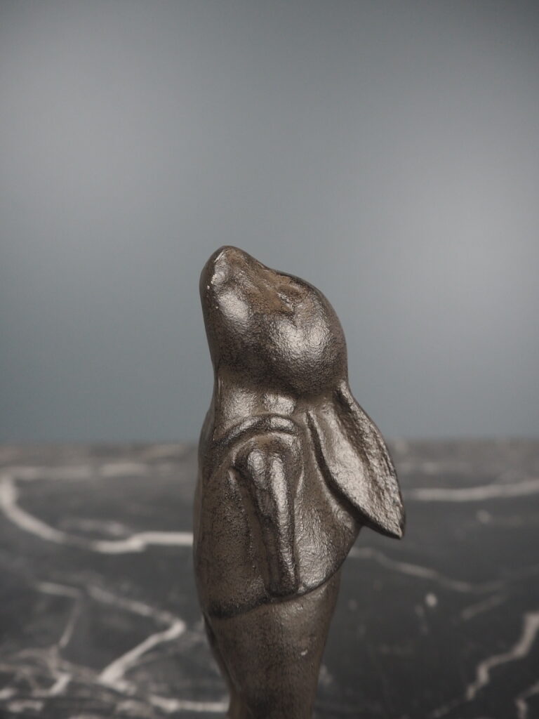 Runa rabbit - Image 2