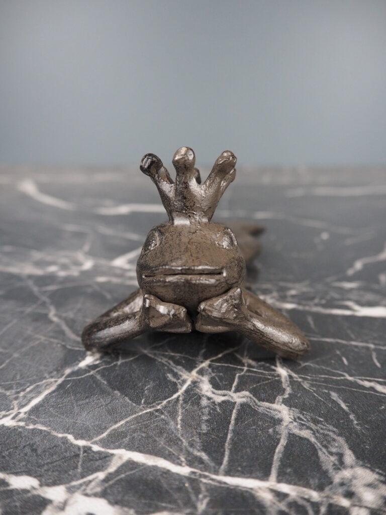 Filip yoga frog - Image 4