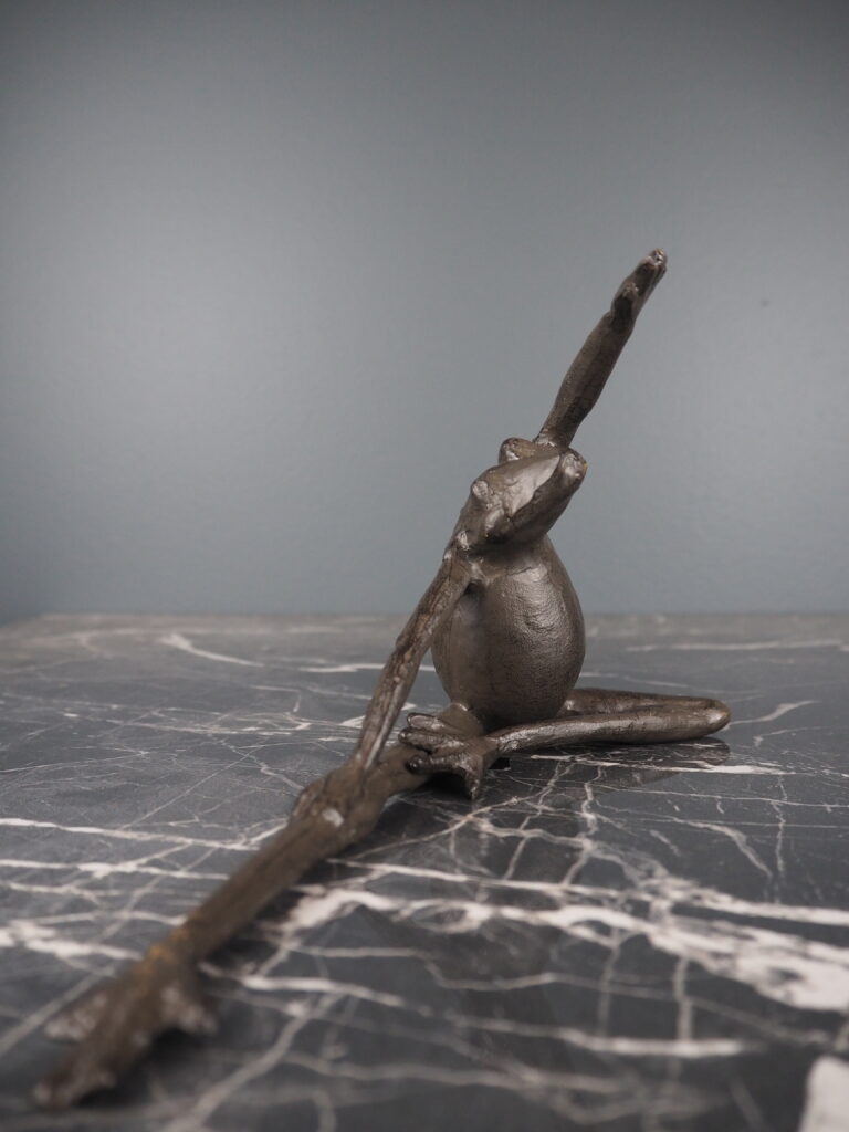 Fia yoga frog - Image 2