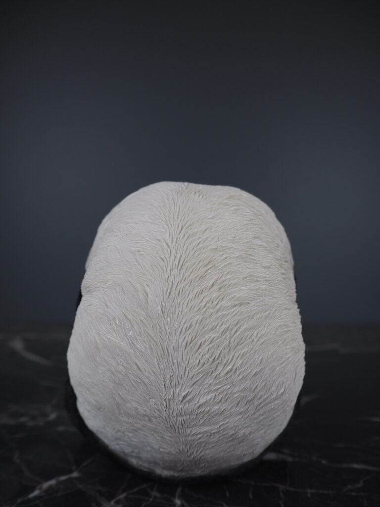 Perry panda - Image 3