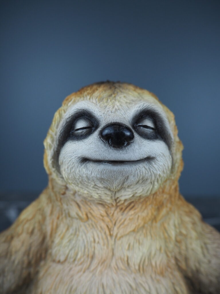 Saol Sloth - Image 2