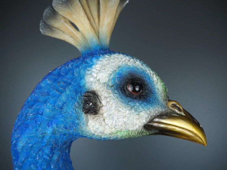 Pamina Peacock - Image 4