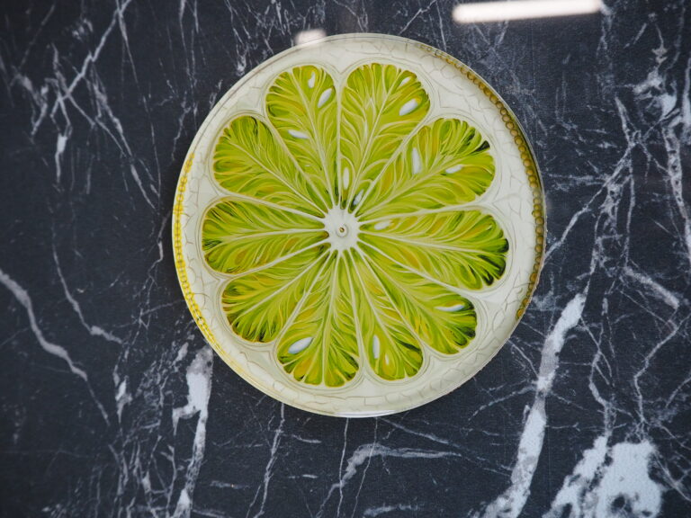 Citrus coasters 3 ass - Image 2