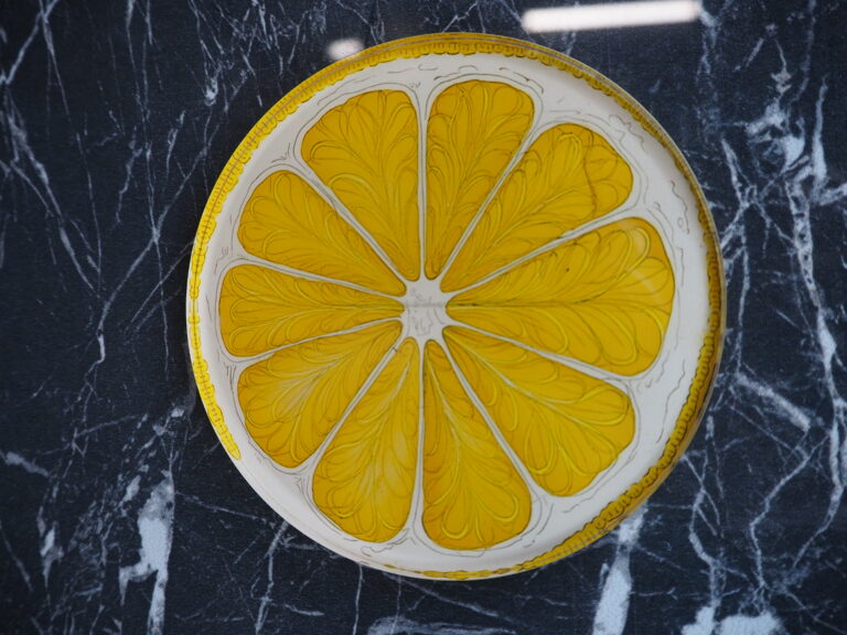 Citrus coasters 3 ass - Image 3