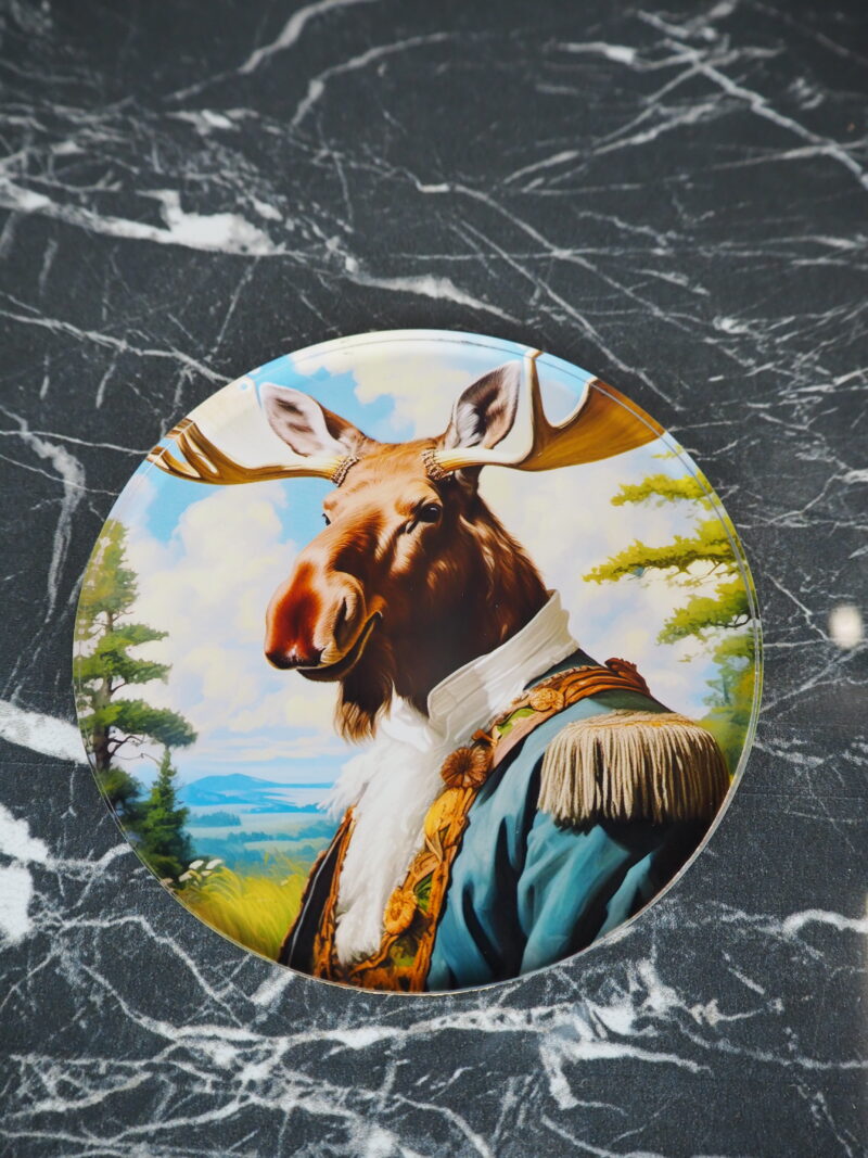 Moose w friends coasters 2 ass