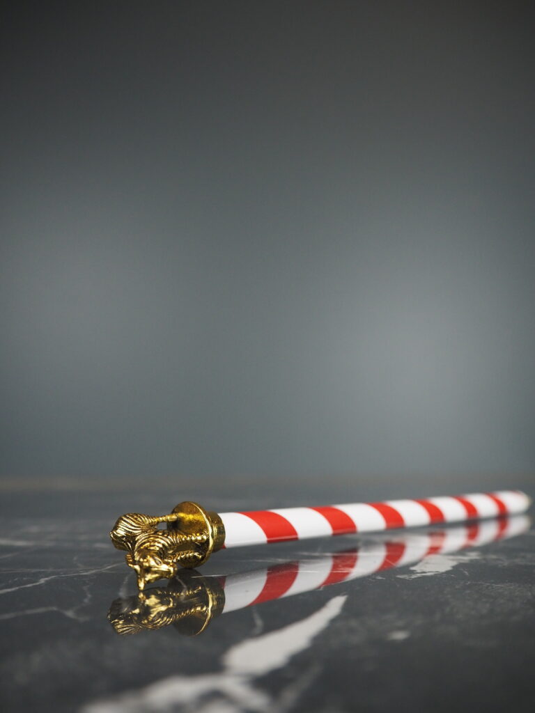 Golden zebra pencil - Image 4