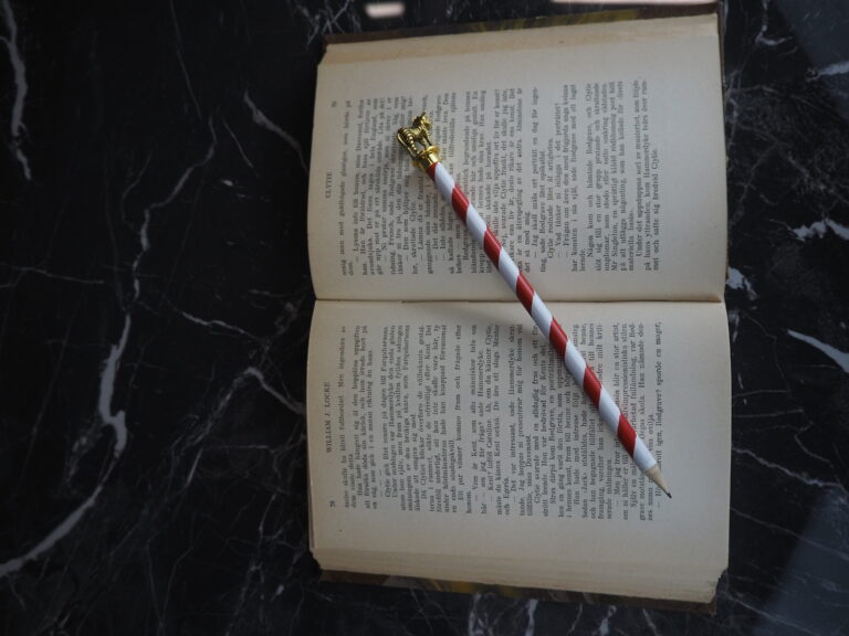 Golden zebra pencil - Image 6