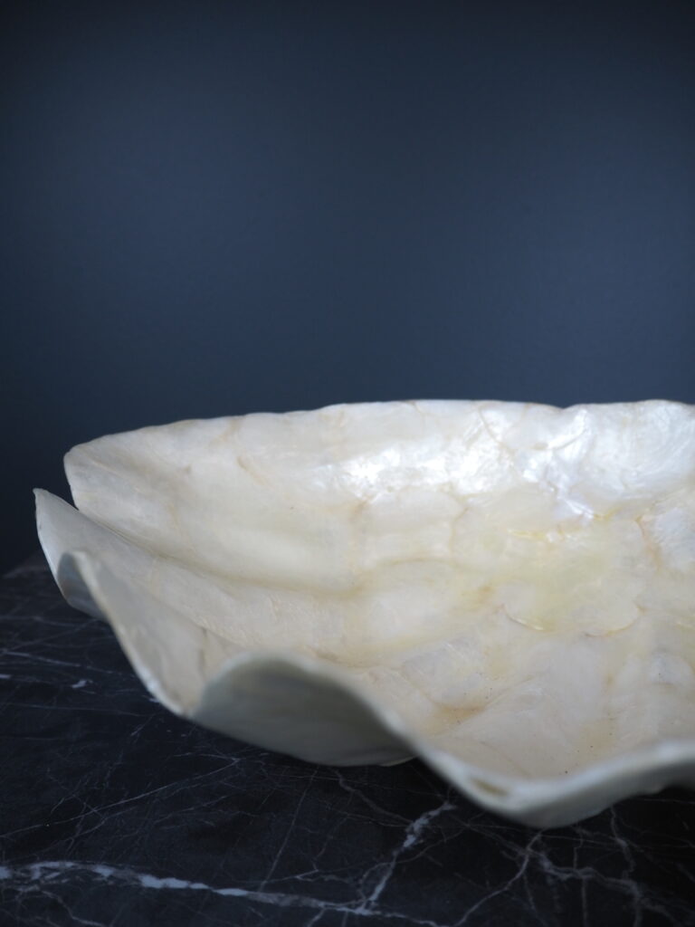 Capiz clam S - Image 3
