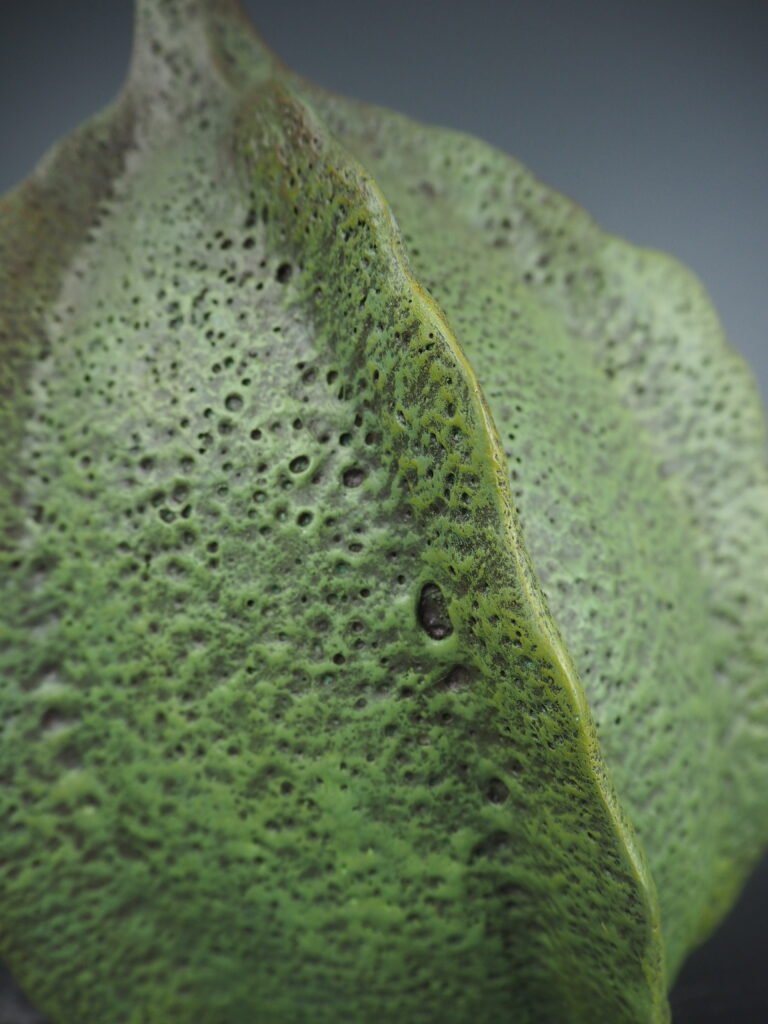 Carambola herb green L - Image 2