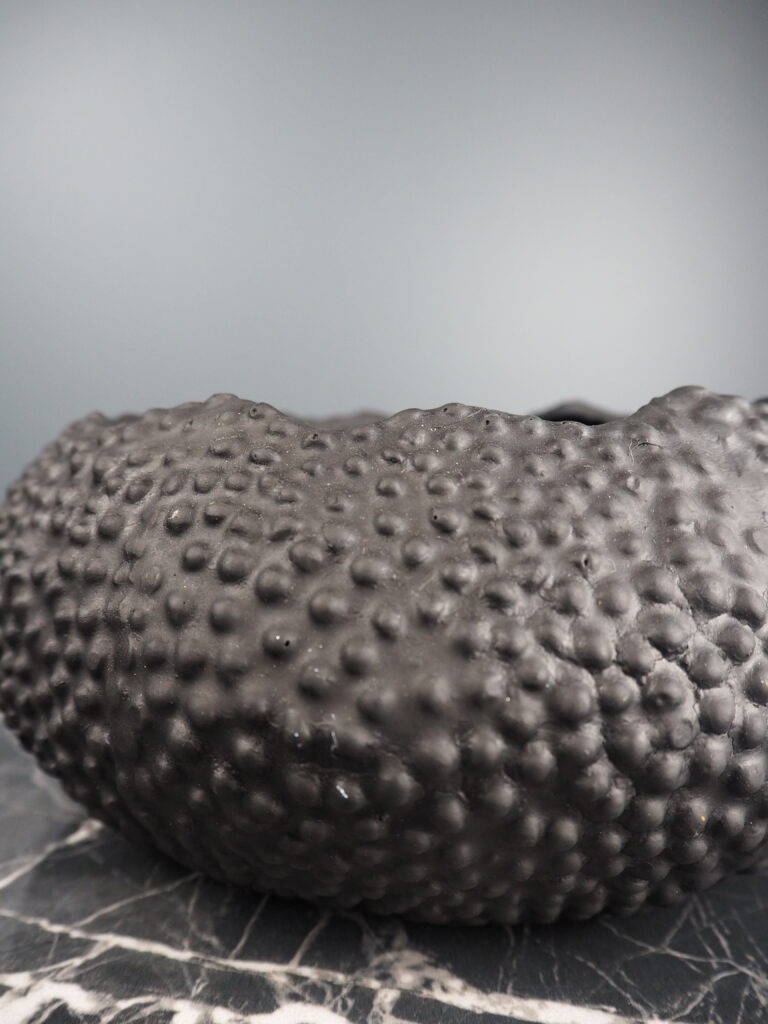 Sea Urchin vase black fish S - Image 2