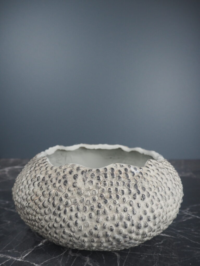 Sea Urchin vase white fish S - Image 2