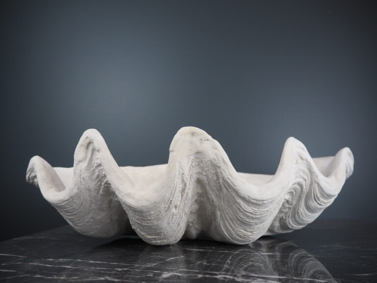 Panay clam shell S - Image 2