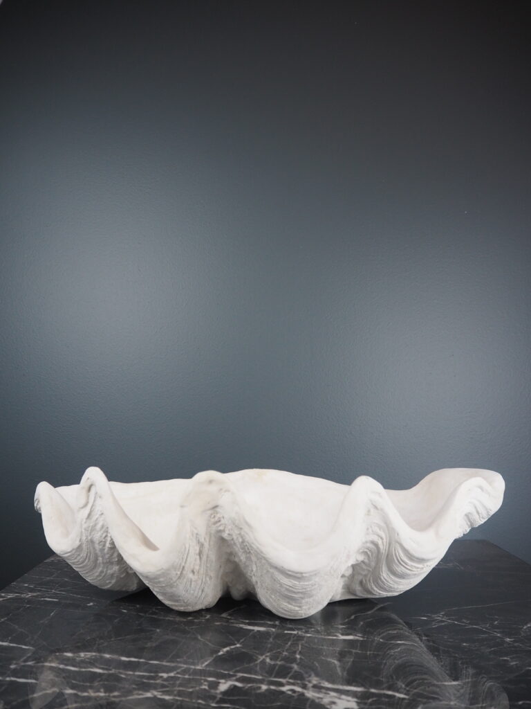 Panay clam shell S - Image 3