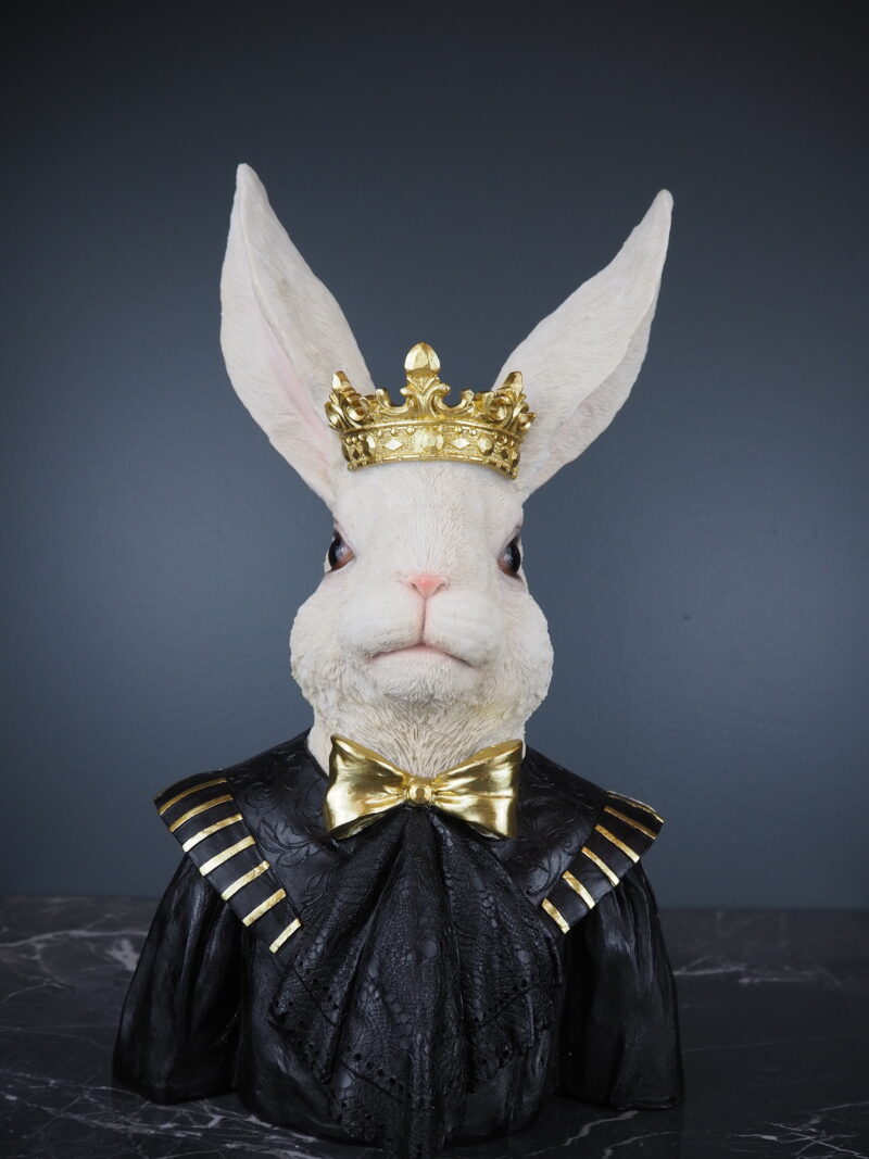 Raol Rabbit