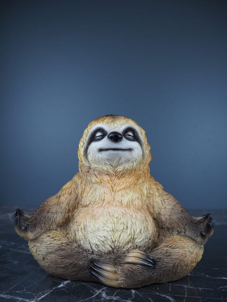Saol Sloth
