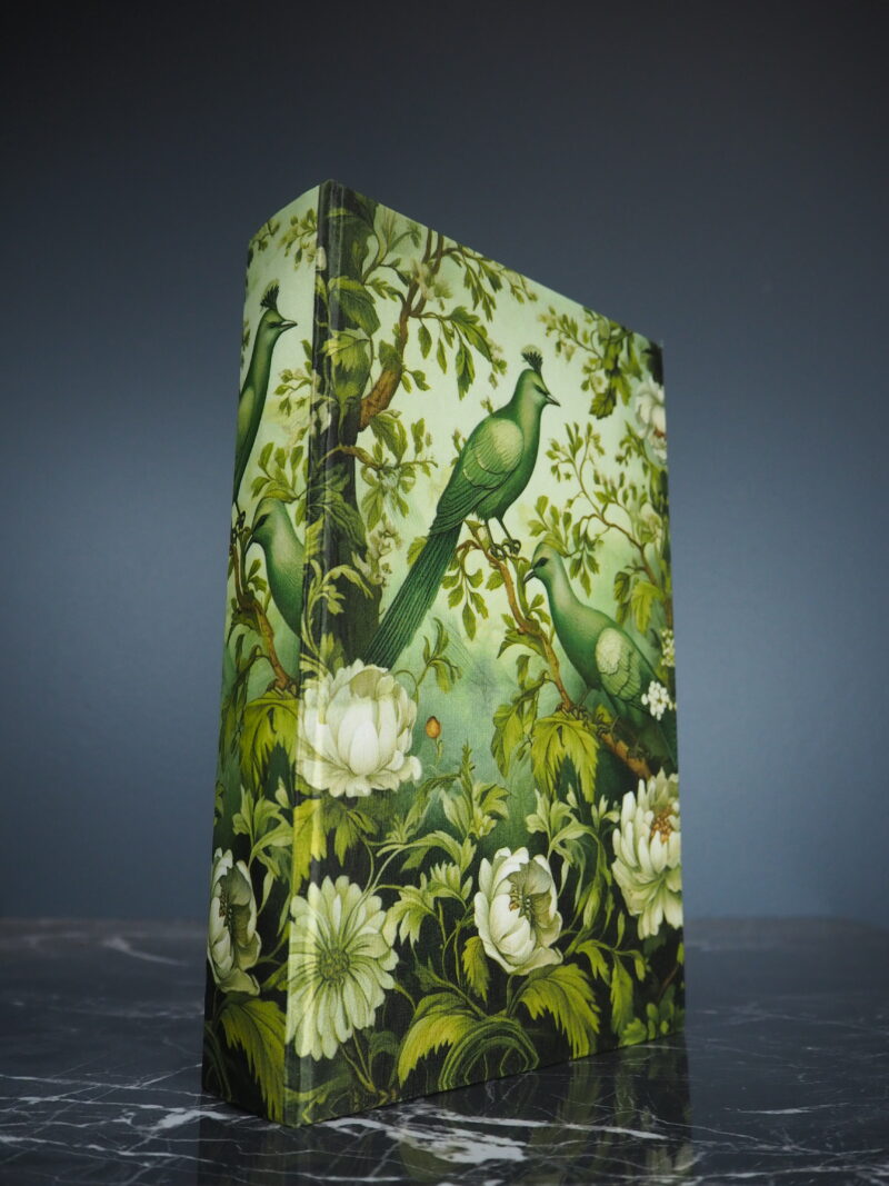 Birds in green book box