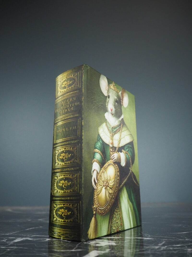 Lady Mouseford jewelry book box