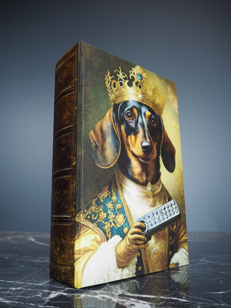 King Dasch remote book box