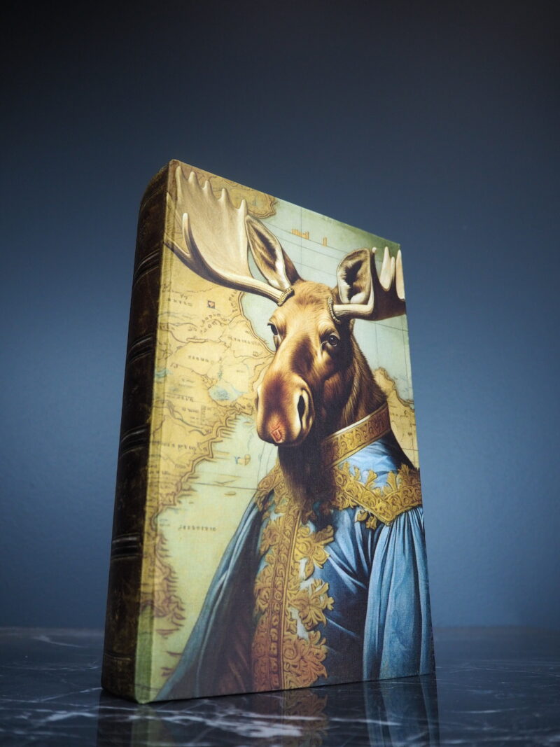Sir Mooseby book box