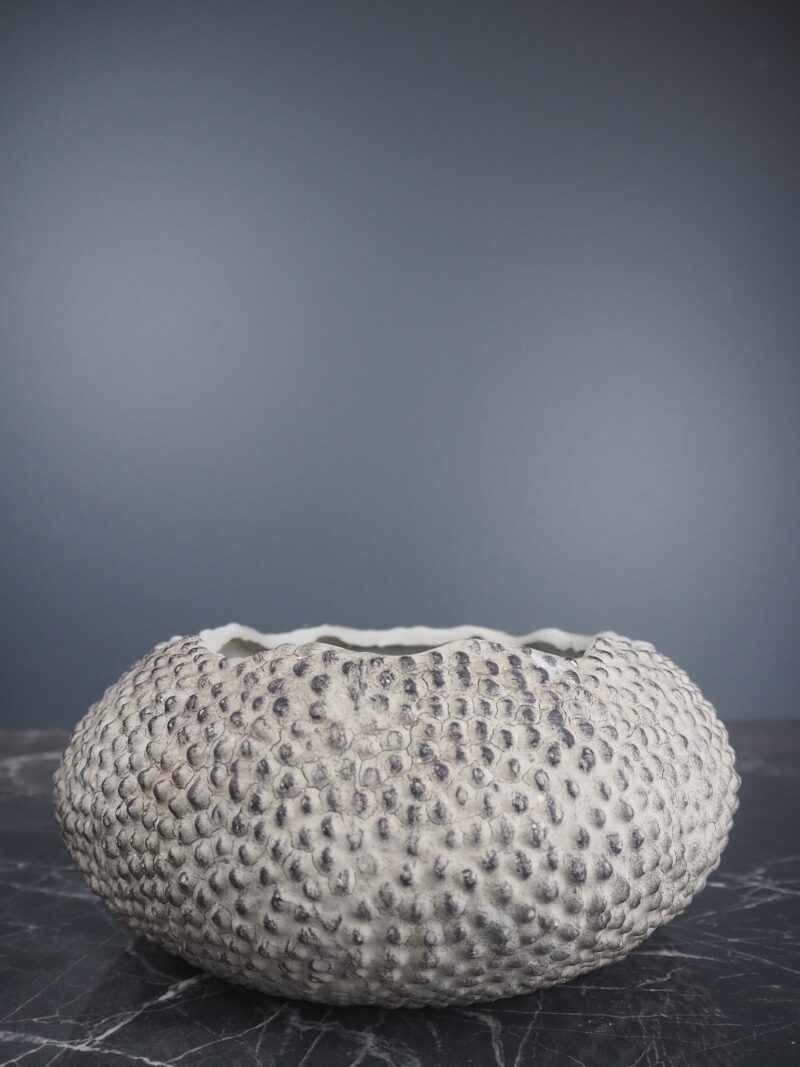 Sea Urchin vase white fish S