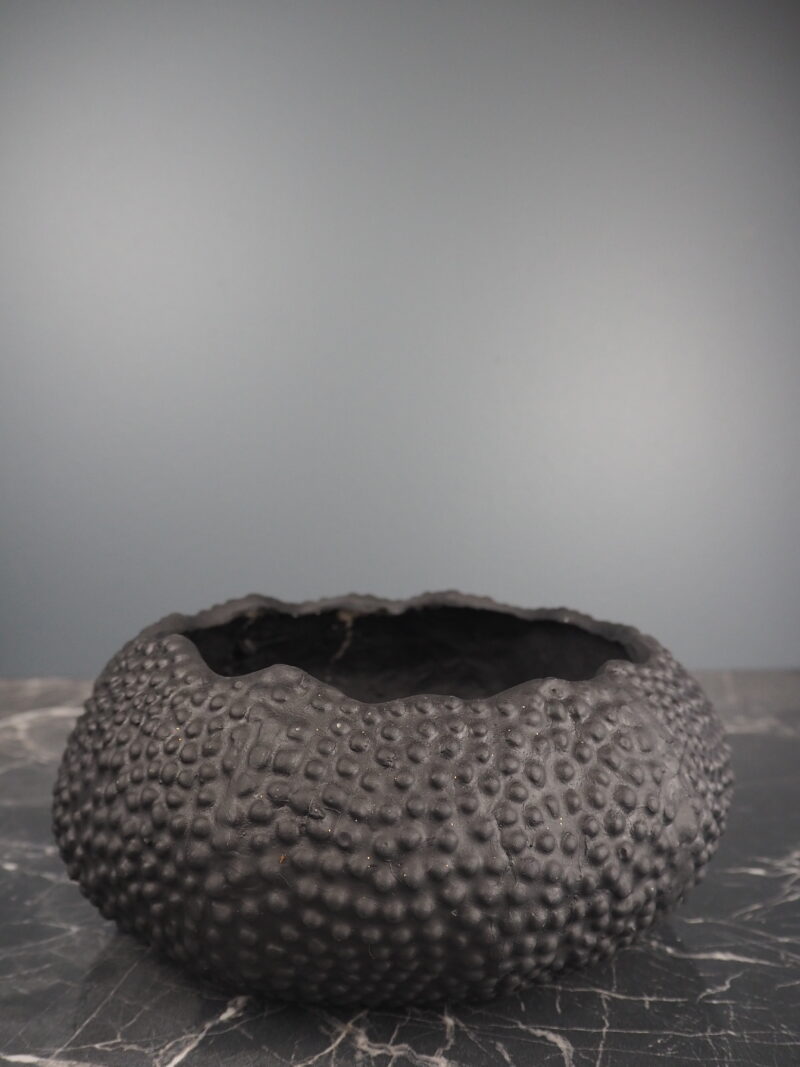 Sea Urchin vase black fish S