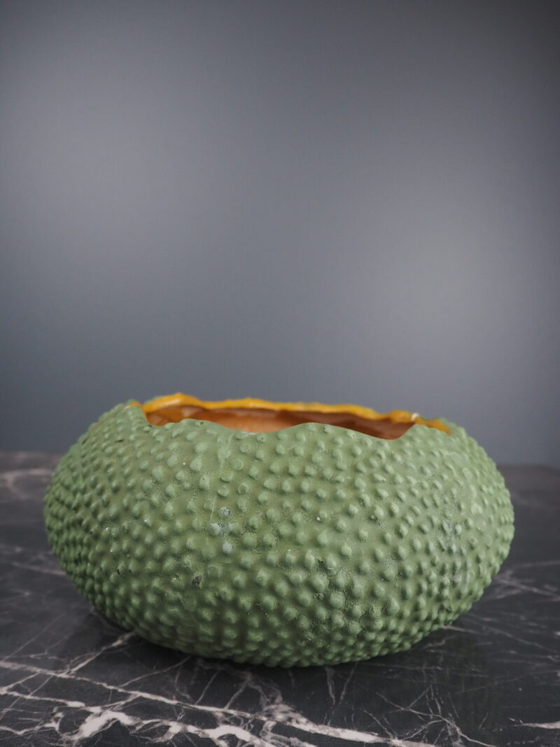 Sea Urchin vase green S