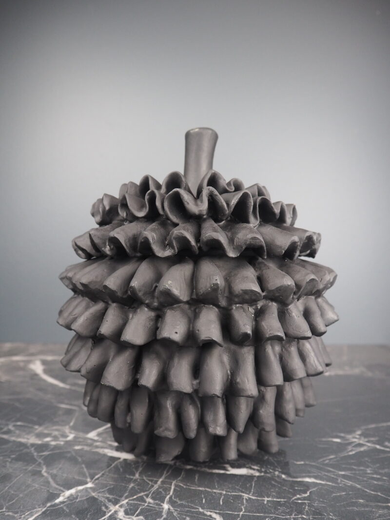 Round pinecone Jar black S