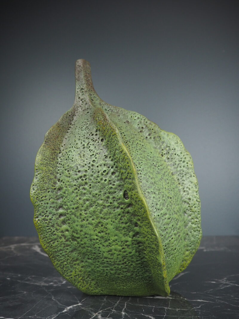 Carambola herb green L