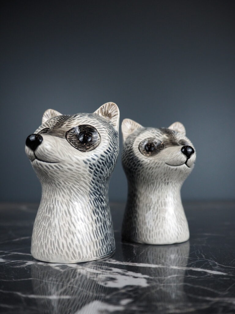 River racoon S&P - Image 2