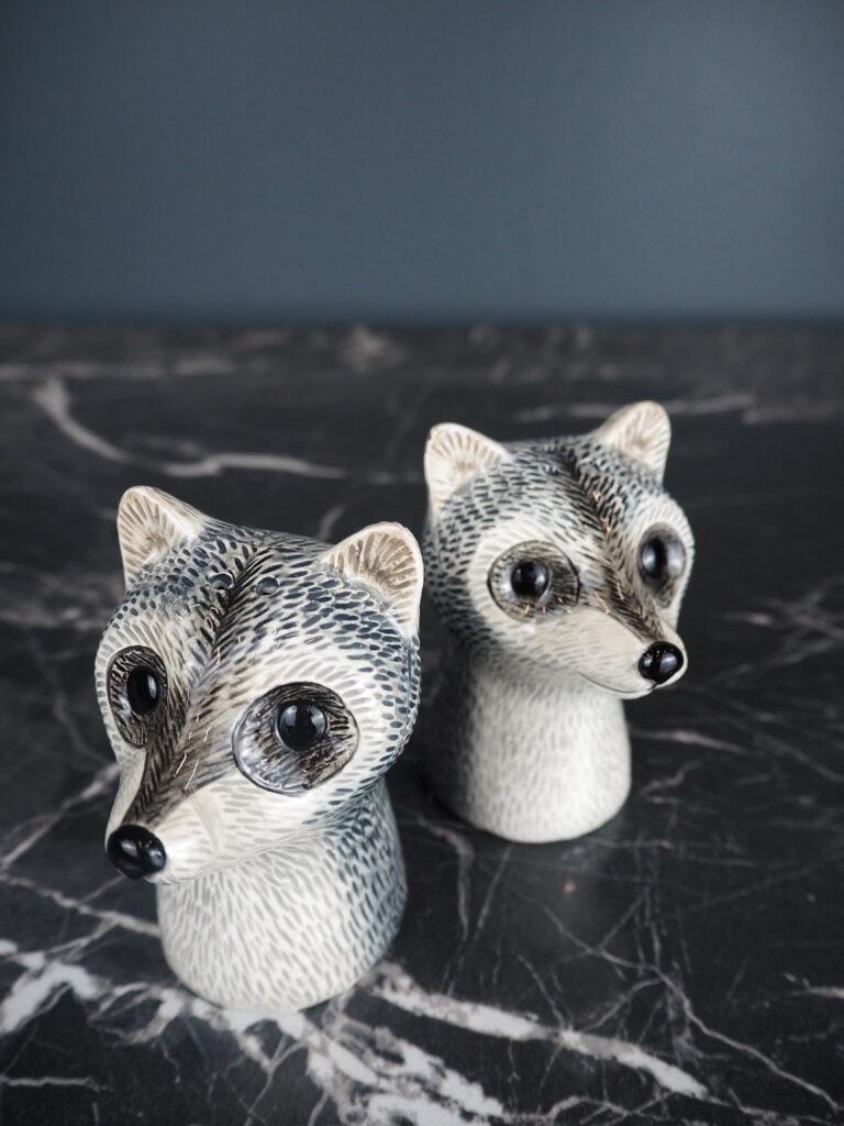 River racoon S&P - Image 3