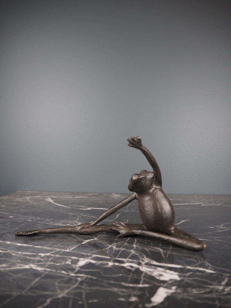 Fia yoga frog
