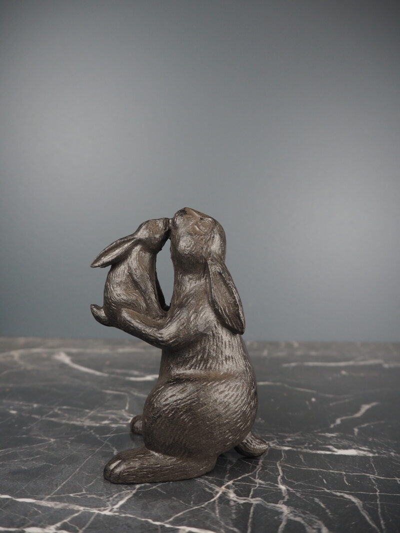 Roy rabbit