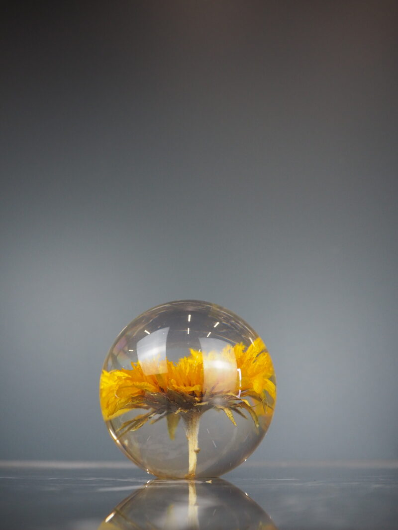 Sunflower paper weight 8 cm