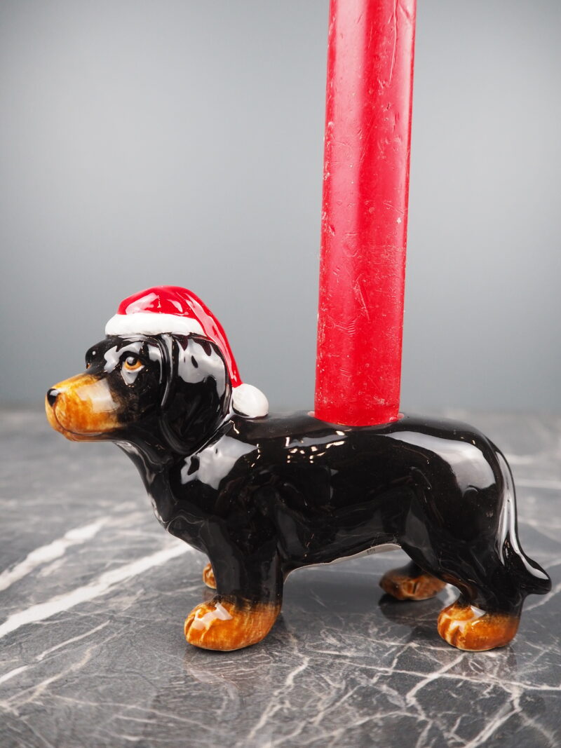 Dagmar dash santa ch