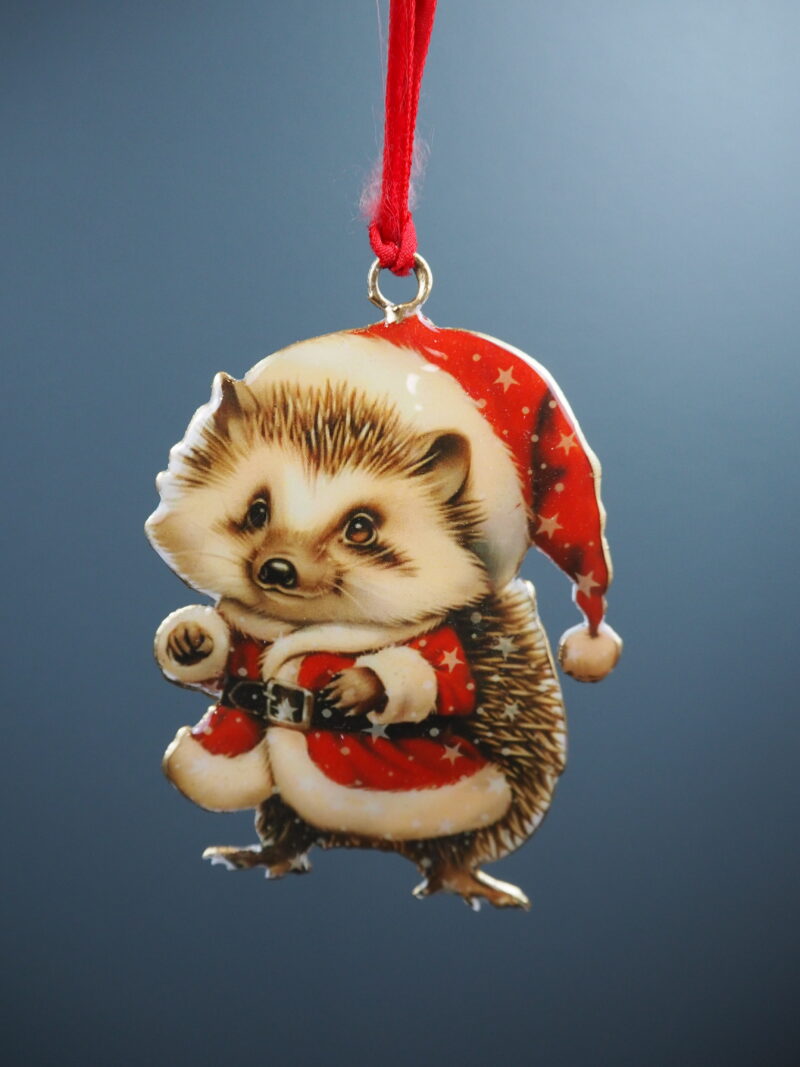 Raccoon Hanging