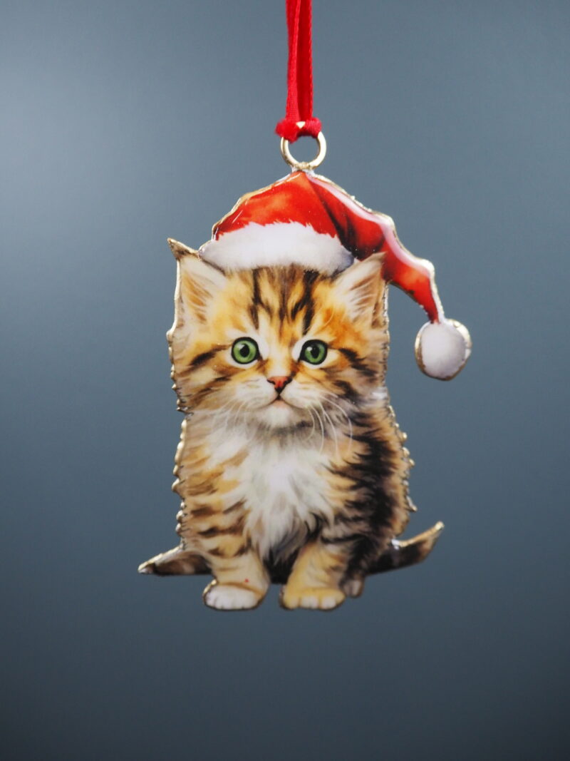 Cat Hanging