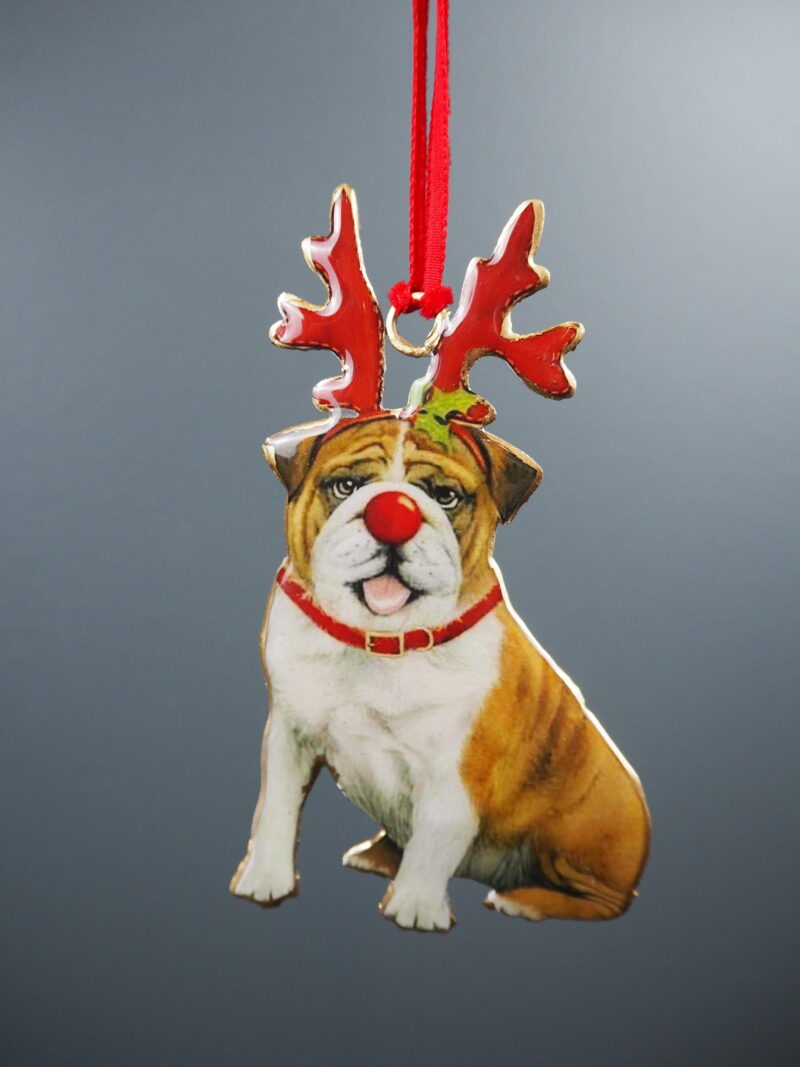 Dog Hanging