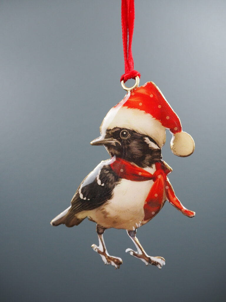 Bird Hanging