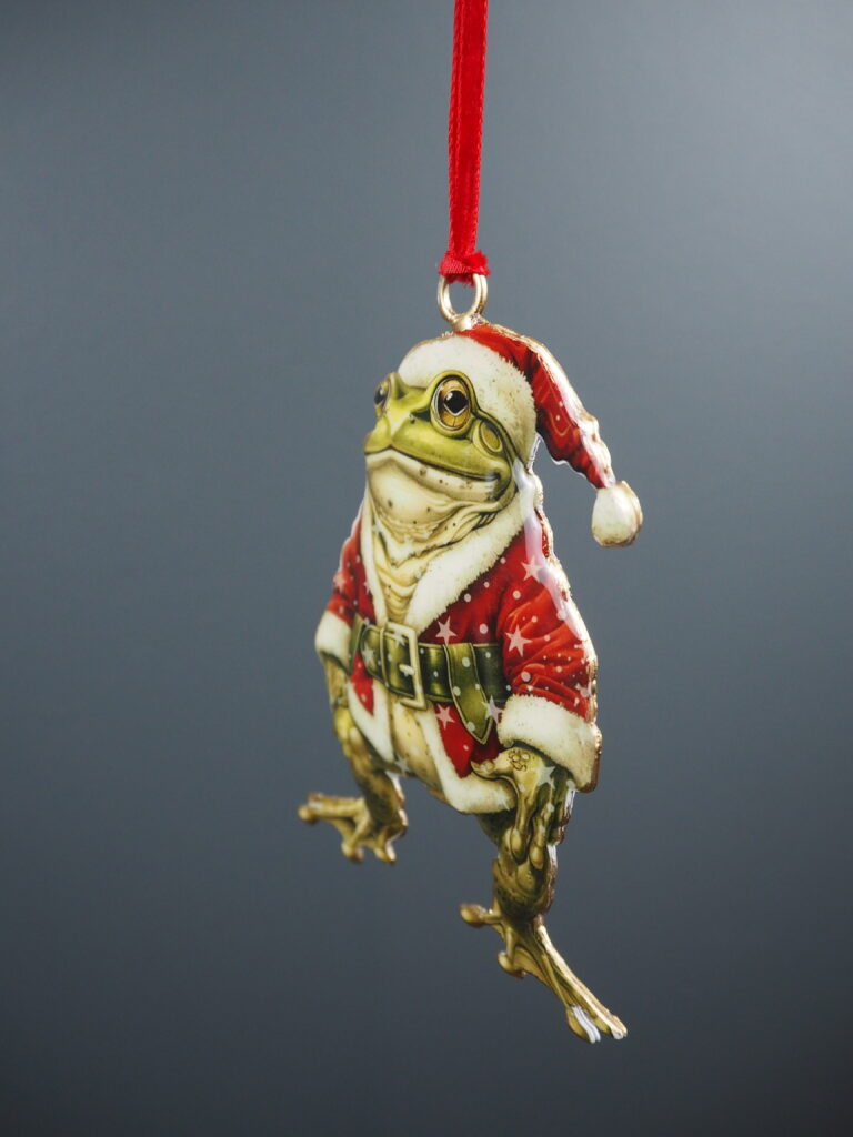 Frog Hanging