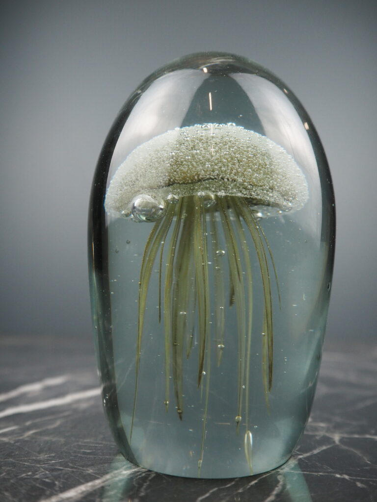 Jellyfish Nature Brown
