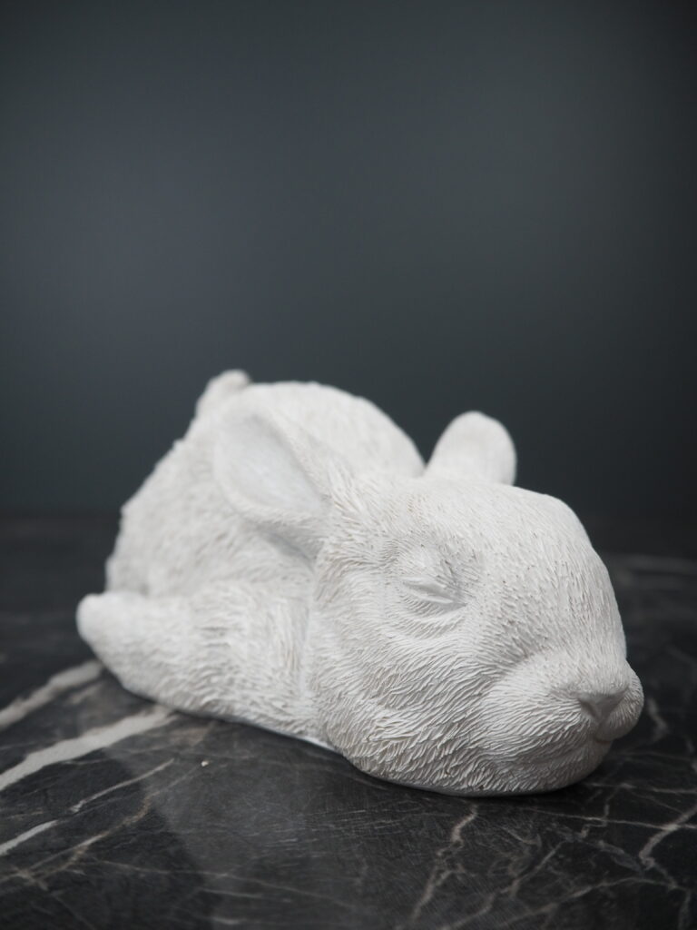 Rabbit - Image 2