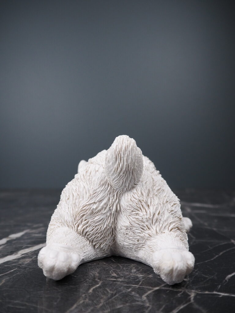 Rabbit - Image 4