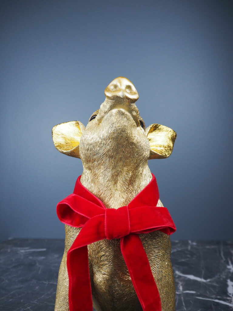 Pig - Image 4