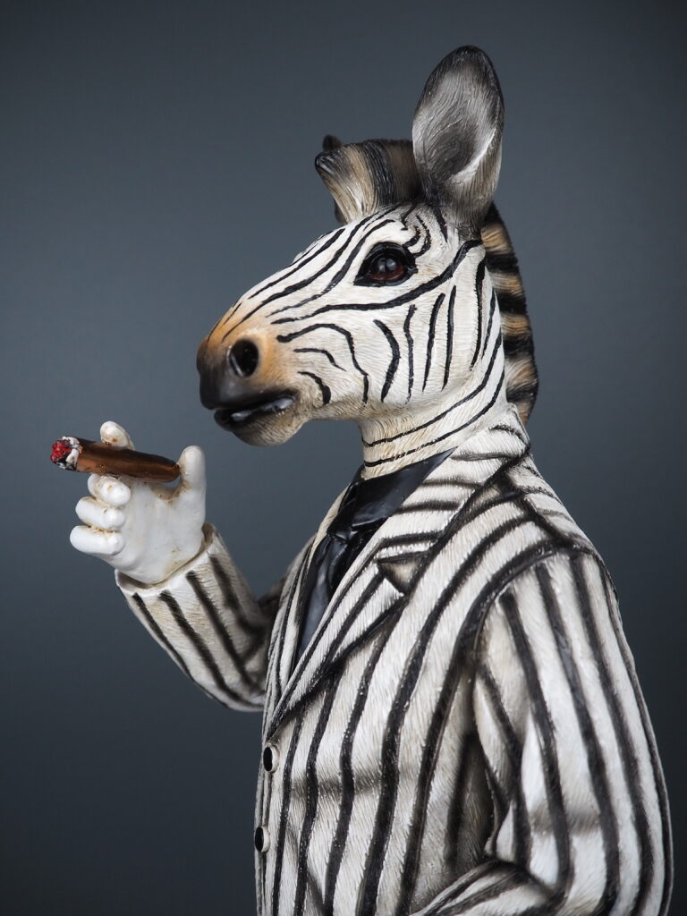 Zebra - Image 3