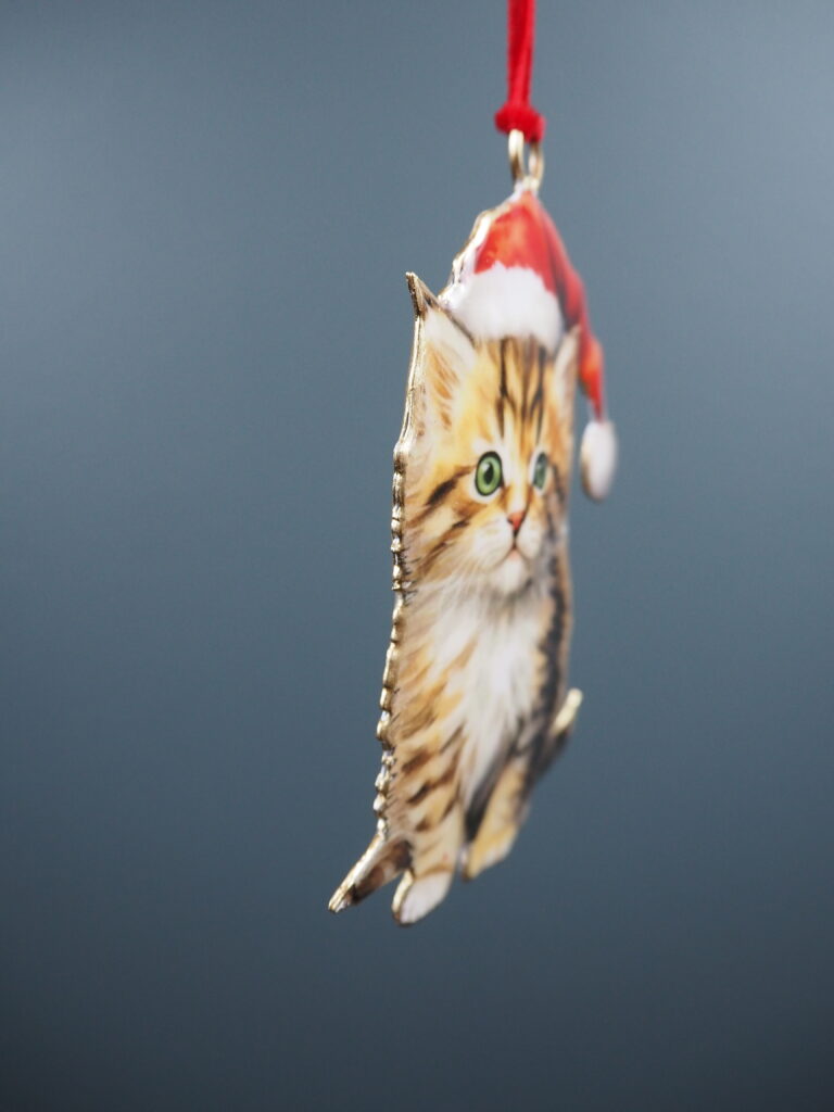 Cat Hanging - Image 2