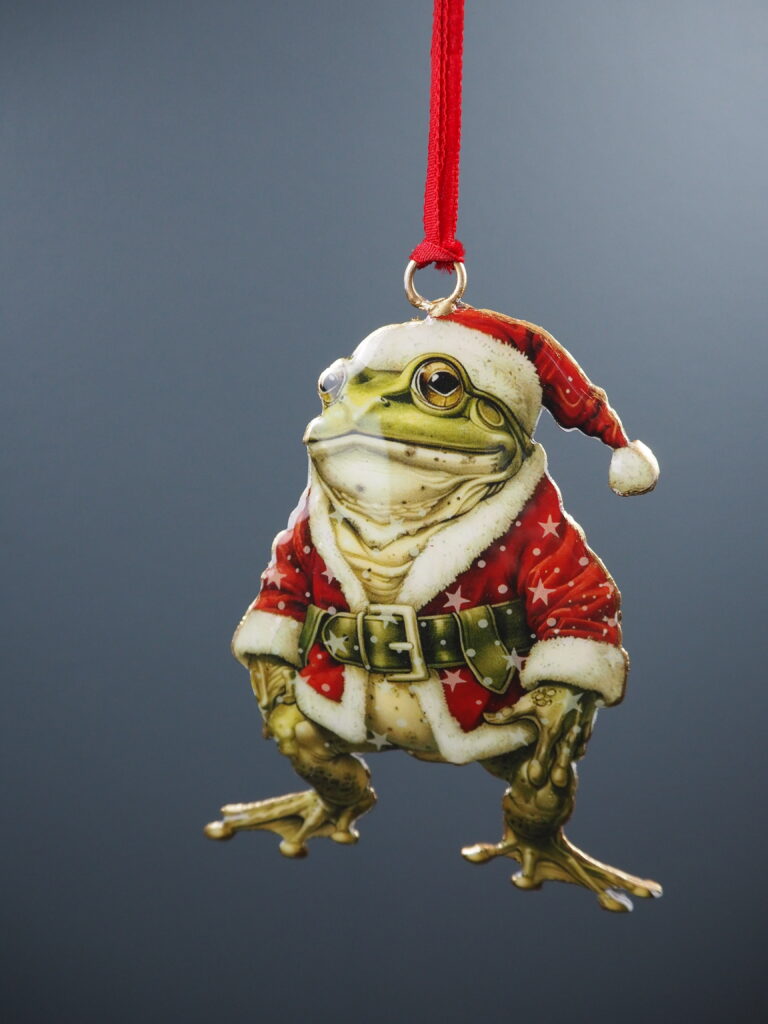 Frog Hanging - Image 2