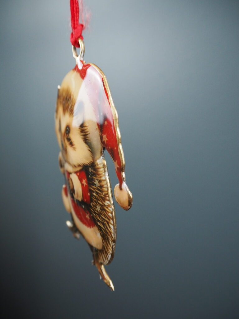 Raccoon Hanging - Image 2