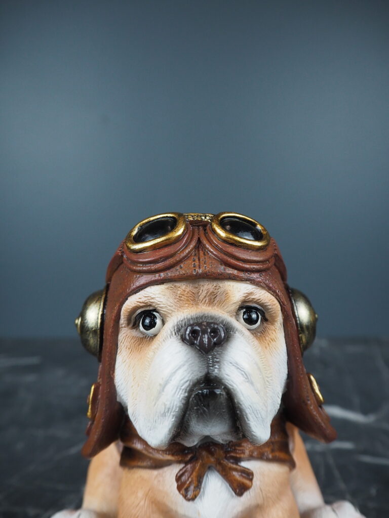 Donell cute dog - Image 2